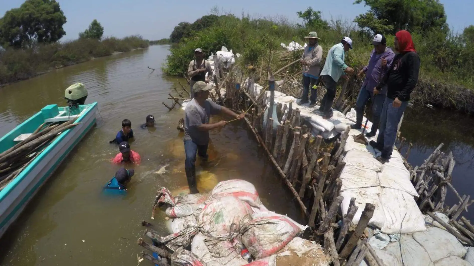 El camalote representó una crisis el año pasado